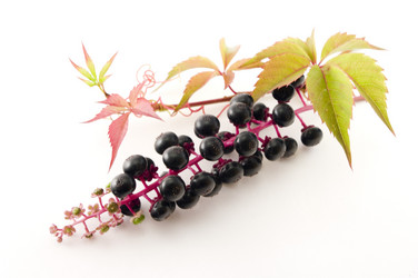 Similar image 350771