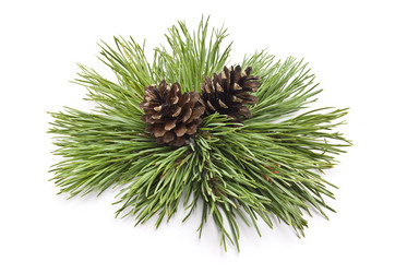 Similar image 350772