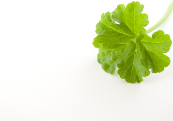 Similar image 350777