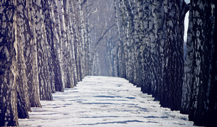 Similar image 350783