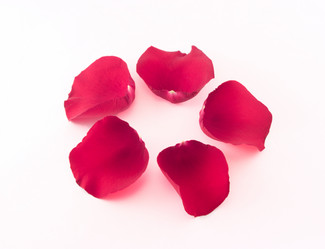 Similar image 350796