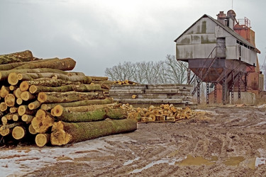 Similar image 350856