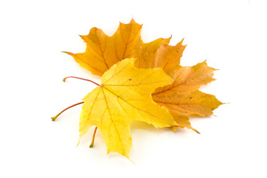 Similar image 351130