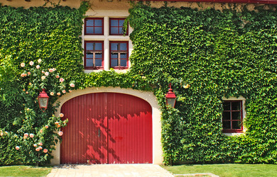 Similar image 351138