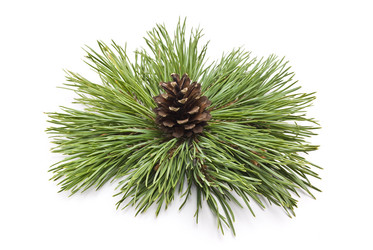 Similar image 351161