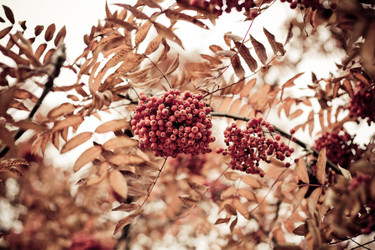 Similar image 351173