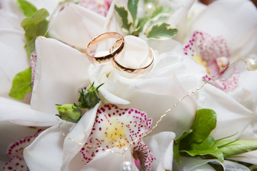 Similar image 351235