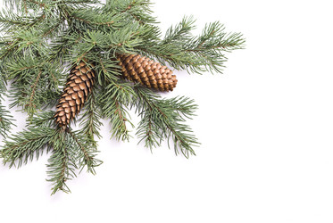 Similar image 351263