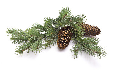 Similar image 351264