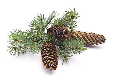 Similar image 351266