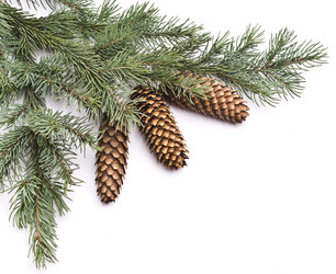 Similar image 351268