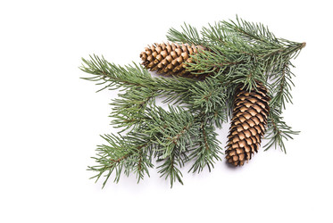 Similar image 351271