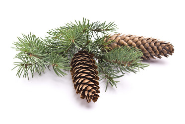 Similar image 351272