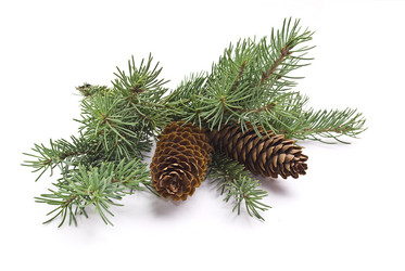 Similar image 351274