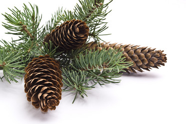 Similar image 351275