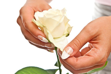 Similar image 351343