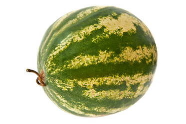 Similar image 351365