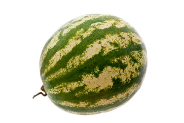 Similar image 351366