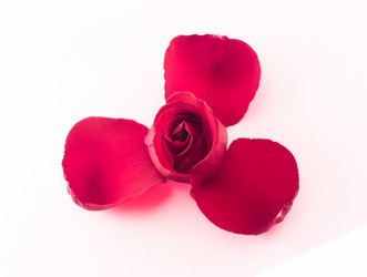 Similar image 351409