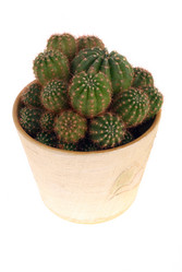 Similar image 351420