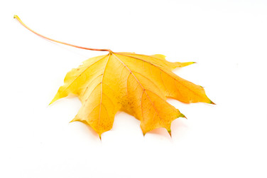 Similar image 351445