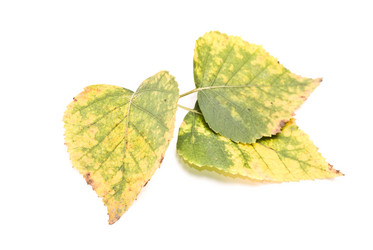 Similar image 351446