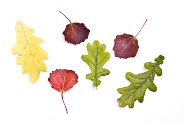 Similar image 351447