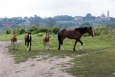 Similar image 351449