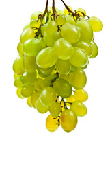 Similar image 351457