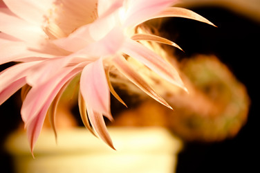 Similar image 351511