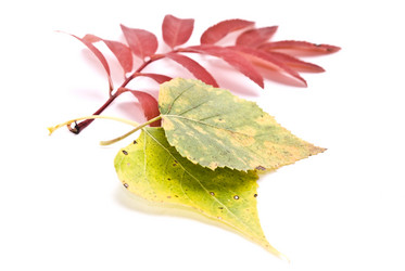 Similar image 351538