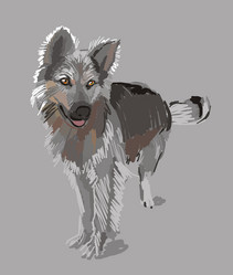 Similar image 351570