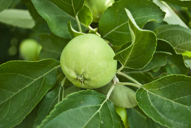 Similar image 351588