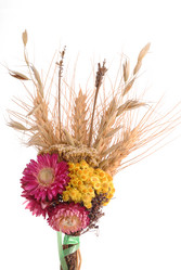 Similar image 351592