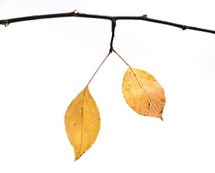 Similar image 351606