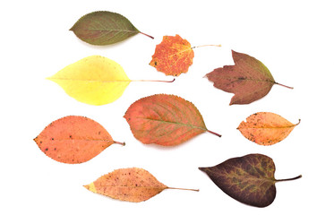 Similar image 351608