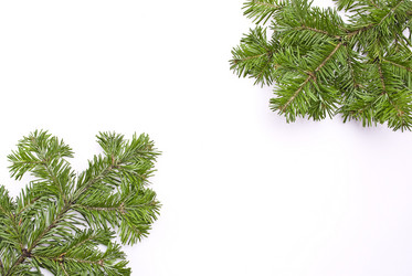 Similar image 351689