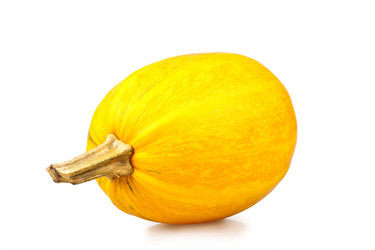 Similar image 351711