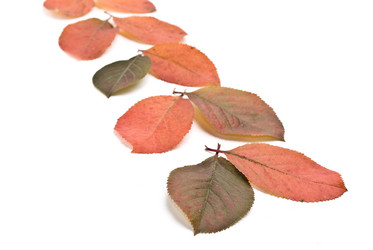 Similar image 351728