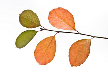 Similar image 351742