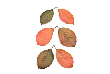 Similar image 351745