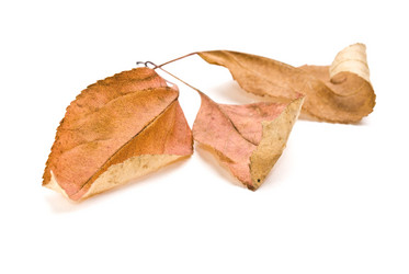 Similar image 351750