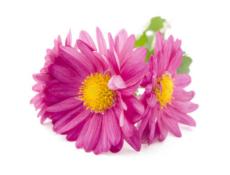 Similar image 351827