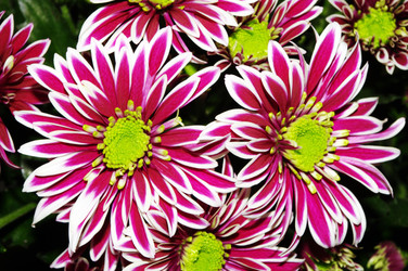 Similar image 351836