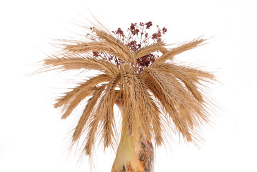 Similar image 351850