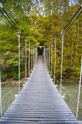 Similar image 351863