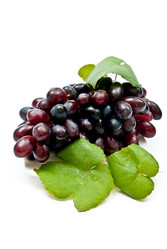 Similar image 351883