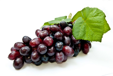 Similar image 351885