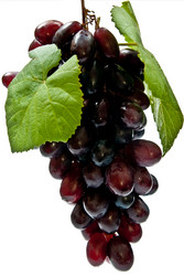 Similar image 351886