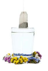 Similar image 351963